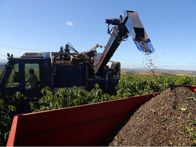 How Brazil and Vietnam are tightening their grip on the worlds coffee