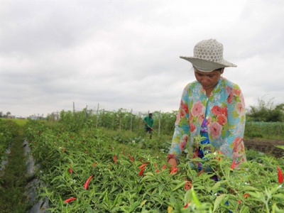 Climate-change adaptation models help farmers escape poverty