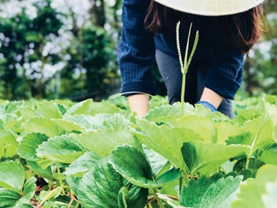 Heroes of the eco-agriculture movement