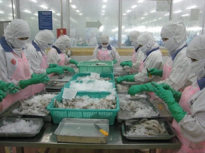 Vietnam shrimp exports to U.S. enjoy zero tariffs