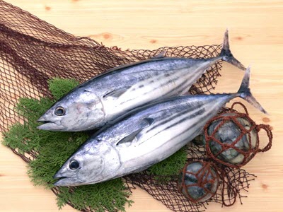 Giá cá ngừ, giá tôm hùm tại Phú Yên 27-08-2020