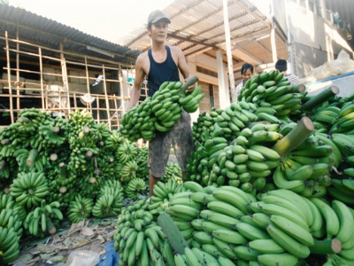 Fruit specialties in the South-western region