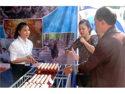 Mở Hướng Liên Kết Cho Nông Dân