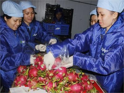 Thanh Long, Chôm Chôm... Dè Dặt Vào Mỹ