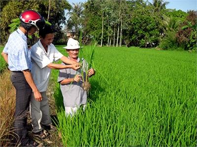 Một Chặng Đường Nỗ Lực Cho Kinh Tế Tập Thể