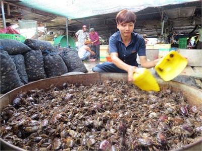 Về Rốn Lũ Săn Cá Đồng