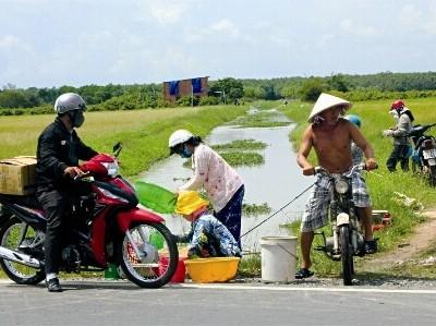 Rủ nhau đi bắt cá con