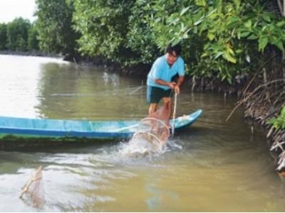 Tổng kết đề tài nghiên cứu kỹ thuật nuôi tôm rừng