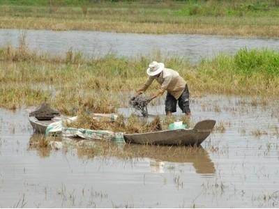 Căng thẳng vụ đông xuân