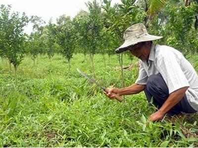 Giải pháp nâng cao thu nhập