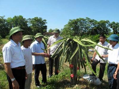 Sức lan tỏa lớn từ Chương trình Tự hào Nông dân Việt Nam