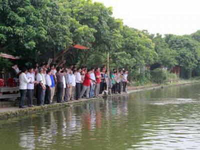 Liên kết nuôi cá rô phi VietGAP người nuôi lợi, người tiêu dùng an tâm