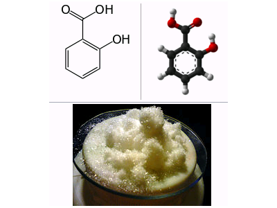 Salicylic acid and its positive effect in hydroponics