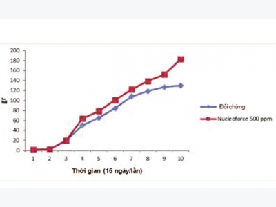 Nucleotide: Giải pháp cải thiện hệ miễn dịch và đường ruột