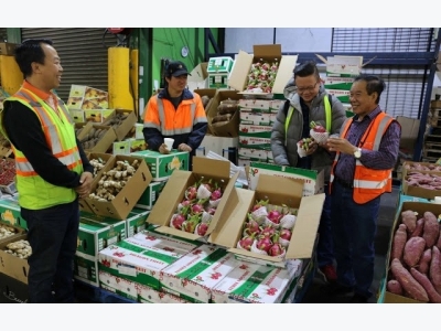 VN dragon fruit wows Aussie consumers