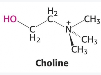 Is ortho-silicic acid worth the additional expense in hydroponics?