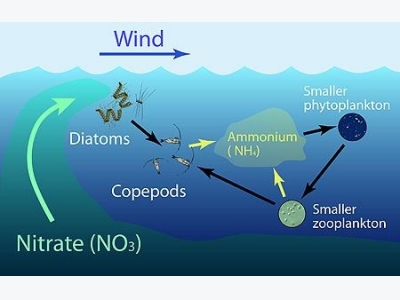 New model predicts precise locations of ocean hotspots