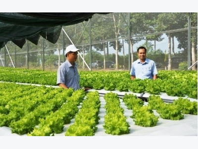 U.S. Vietnam need to cement ties in IT for agriculture