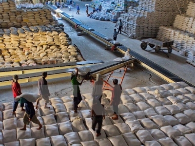 Can Tho to ship first rice batch to Iran