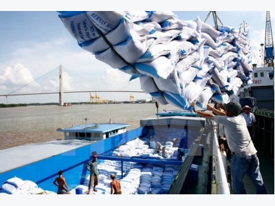 VFA hikes rice export target on strong demand