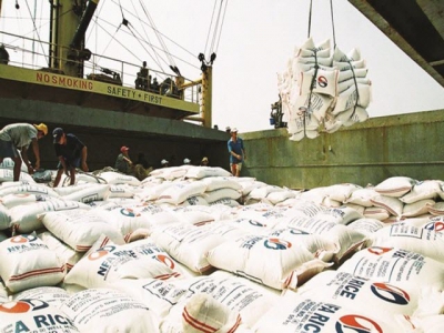 Rice export business: Just loosening but not untying?