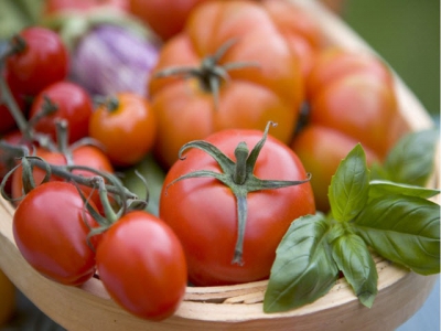 How to sow tomato seeds