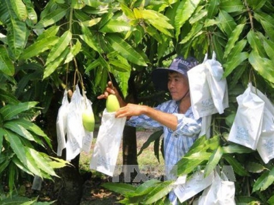 Seminar discusses measures to boost exports of farm, fisheries products to Japan