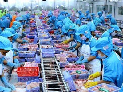 Seafood exports pick up but challenges continue