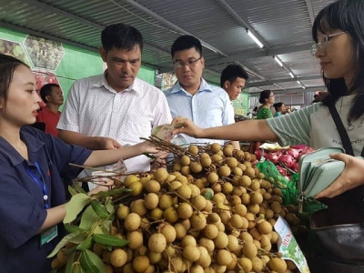 Vietnam longan was blew the whistle when exporting to Australia