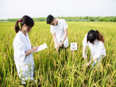 Young people not interested in agricultural studies