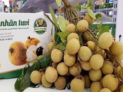 Fresh Vietnamese longan on sale in Australian market