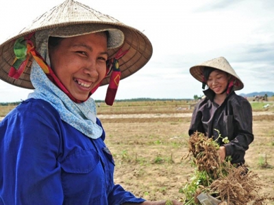 Gender mainstreaming in agricultural extension to promote womens role in agriculture