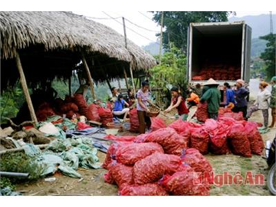 Giao Thông Khó Khăn - Hàng Nông Sản Ở Kỳ Sơn Bị Ép Giá