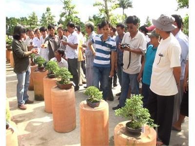 Chia Sẻ Kinh Nghiệm Trồng, Sản Xuất Hoa Kiểng Bon Sai