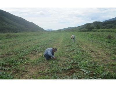 Khó Khăn Trong Phát Triển Sản Xuất, Nâng Cao Thu Nhập