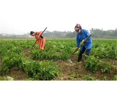 Chung Tay Xây Dựng Nông Thôn Mới Các Xã Đạt Chuẩn Về Đích Đúng Hẹn