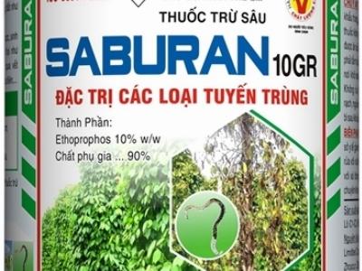 Bệnh tiêu điên và cách phòng trừ