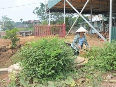 Dùng biogas, đun nấu thả ga