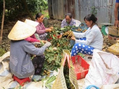 Giá nhãn tăng