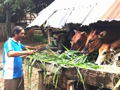 Giảm khoảng cách giàu nghèo, tăng lòng tin của người dân