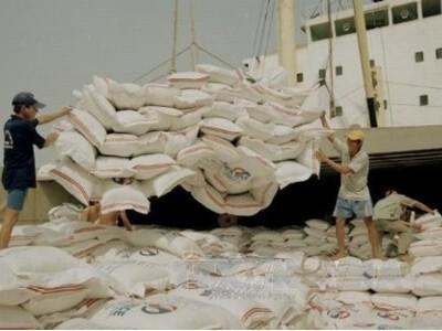 Không có chuyện tạm dừng xuất khẩu gạo 25% tấm