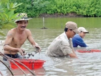 Mở rộng liên kết trong sản xuất