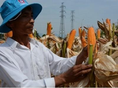 Nông dân vẫn khát vốn