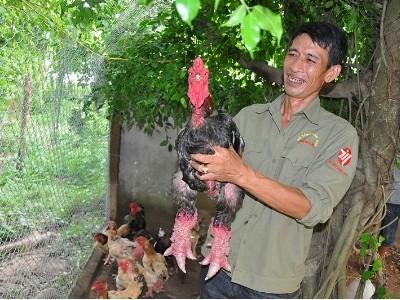 Siêu trang trại độc đáo đất cố đô toàn con đặc sản