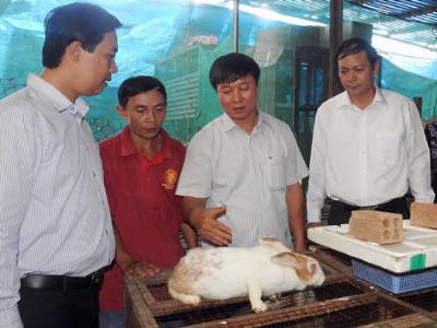 Vốn hội - trợ lực cho nhà nông làm ăn lớn