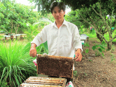 Người nuôi ong miền Tây thoải mái di dời đàn