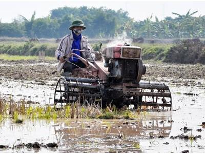 Băn khoăn với giá dịch vụ thủy lợi: Nông dân lo thêm nặng gánh