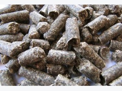 Sugar beet pulp key to extremely valuable industries