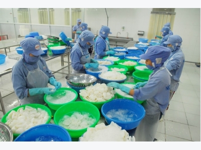 Viet Nam vows to combat IUU fishing