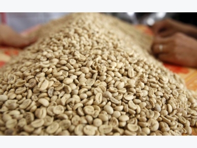 Asia Coffee: Vietnam output seen strong on good weather, Indonesia premiums stay